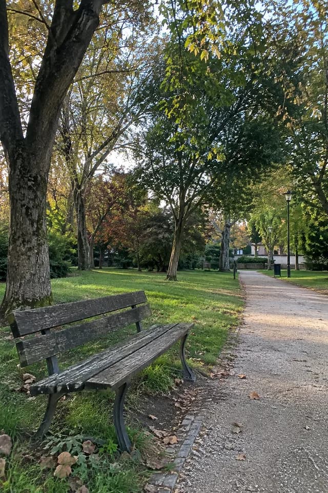 Un banc au bord d’une allée dans le parc, en fin de journée.